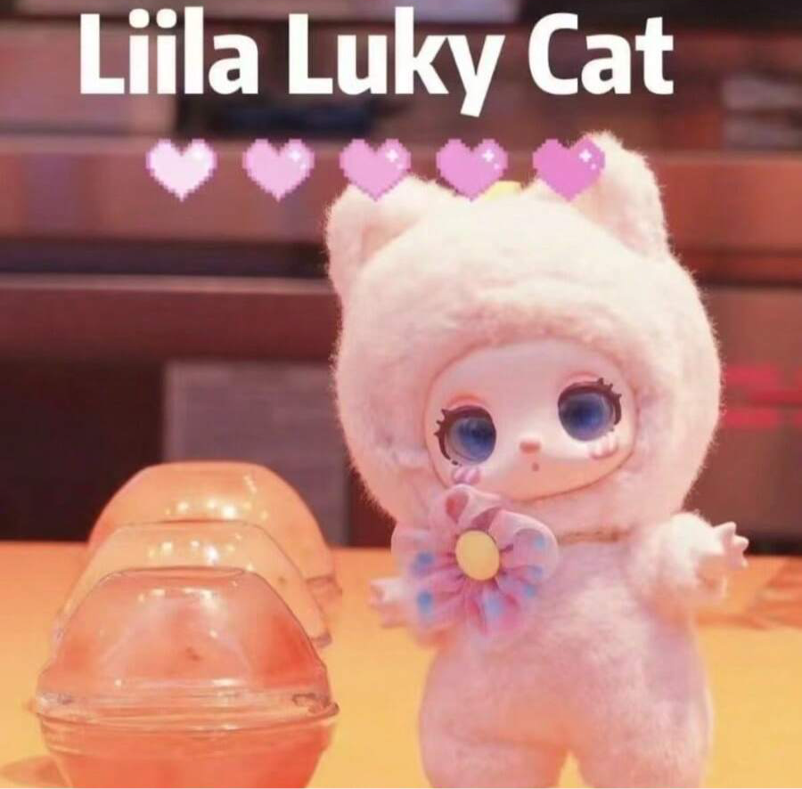 Liila's Lucky Cat Plush Blind Box Series (Zoo Series)