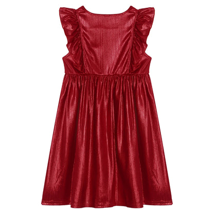 Girls Metallic Sleeveless Ruffles A-Line Dress (Age 24M-10YRS)