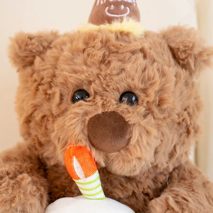 Plush Fluffy Cake Teddy Bear Stuffed Toy 40-50cm