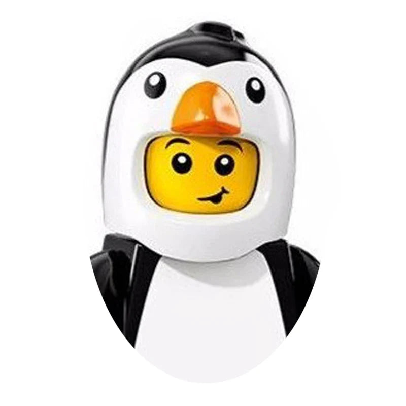 LEGO Ideas Adventure Time 21308 Set PG962