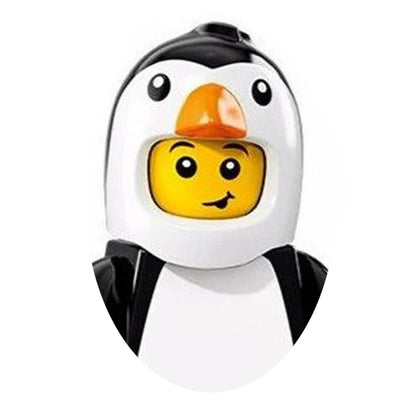 LEGO Ideas Adventure Time 21308 Set PG962