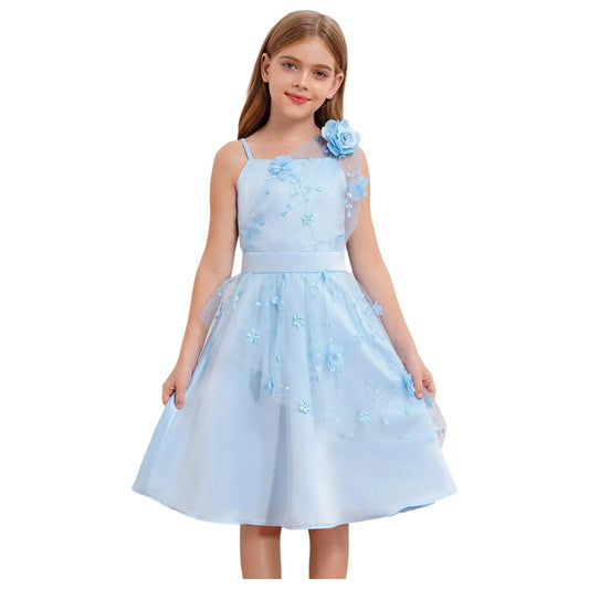 Girls Floral Embroidered Tulle Dress (Age 6-26 YRS)