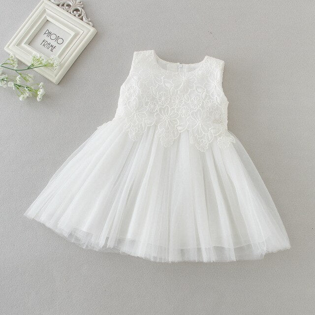 Baby Girls Floral Embroidered Tulle Dress (Age 3M-24M) White